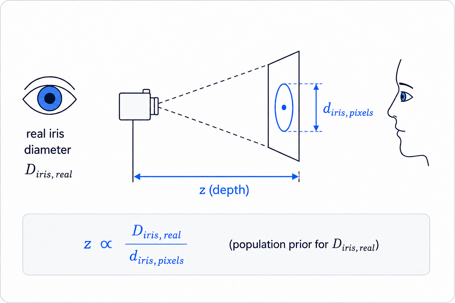 Conceptual diagram showing depth estimated from apparent iris diameter
